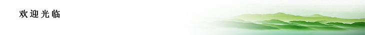 gӭR